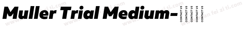 Muller Trial Medium字体转换